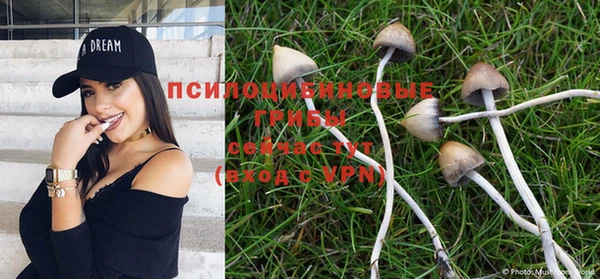 кокаин колумбия Медвежьегорск